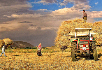 Türkische Bauern erhalten Land zum halben Preis