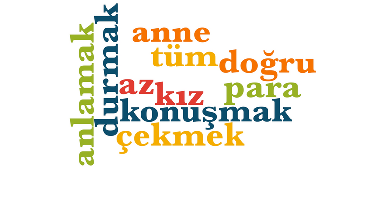 Es gibt verschiedene Möglichkeiten, Türkisch schnell und einfach zu lernen. Hier sind einige Tipps: