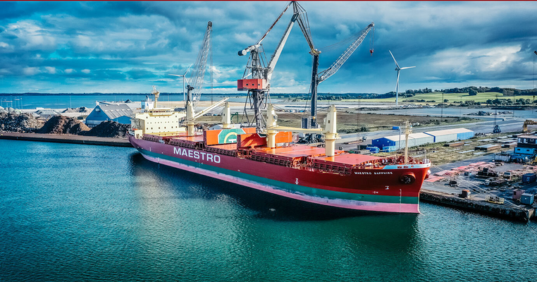Das türkische Unternehmen Devbulk wickelt mehr Geschäfte mit Maestro Shipping ab