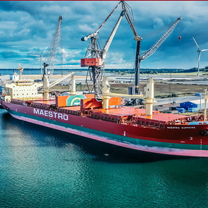 Das türkische Unternehmen Devbulk wickelt mehr Geschäfte mit Maestro Shipping ab