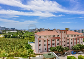 1+1 Wohnung im Stadtteil Mahmutlar/Alanya