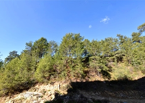 1+1 Wohnung im Stadtteil Avsallar