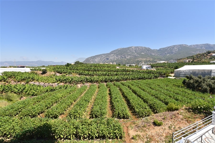 1+1 möblierte Wohnung mit Meer- und Bergblick im Stadtteil Mahmutlar