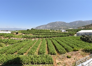 1+1 möblierte Wohnung mit Meer- und Bergblick im Stadtteil Mahmutlar