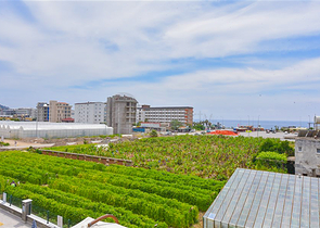 1+1 möblierte Wohnung in einem neuen Komplex im Stadtteil Kargicak