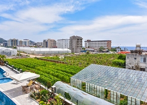 Schicke 1+1-Wohnung im Stadtteil Kargicak