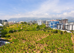 3+1 Penthouse im Stadtteil Mahmutlar