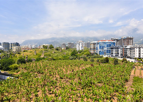 3+1 Penthouse im Stadtteil Mahmutlar