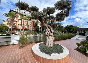 1+1 in einem Komplex von einem hochwertigen Entwickler