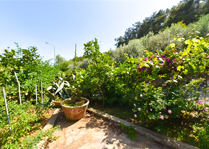 2+1 Wohnung in einem historischen Ort von Alanya