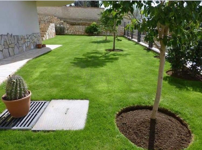 Geräumiges 3+1 Apartment im Stadtteil Avsallar