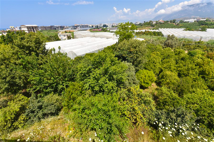 4+1 Villa mit modernem Design in der malerischen Gegend von Kargicak