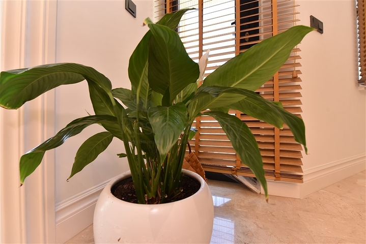 5+1 Design renovierte Villa