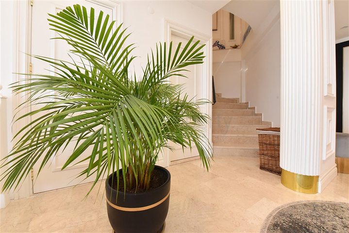 5+1 Design renovierte Villa