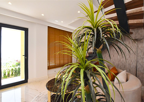 5+1 Design renovierte Villa