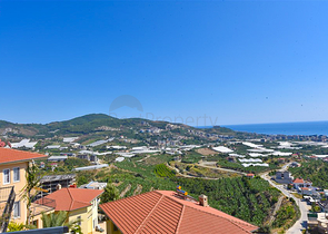 5+1 Design renovierte Villa