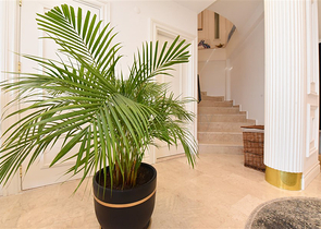 5+1 Design renovierte Villa