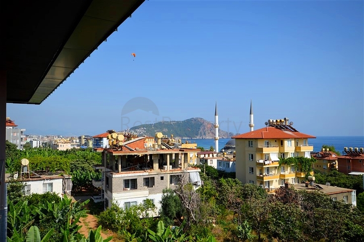 1+1 Wohnung im Cleopatra-Viertel