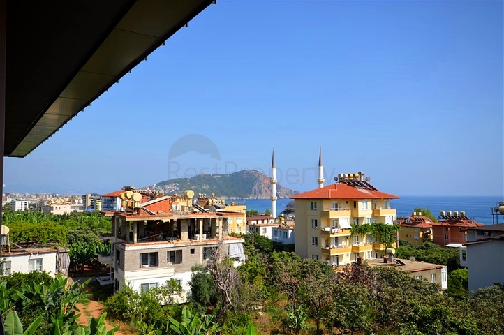 1+1 Wohnung im Cleopatra-Viertel