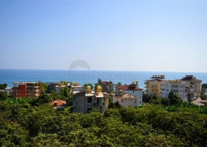 1+1 Wohnung im Cleopatra-Viertel