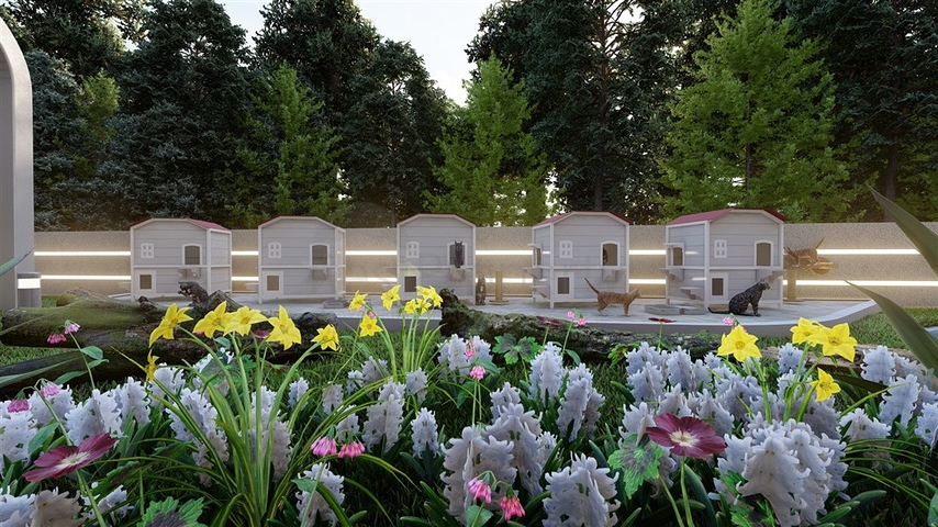 Neues Investitionsprojekt im vielversprechenden Bereich Beides