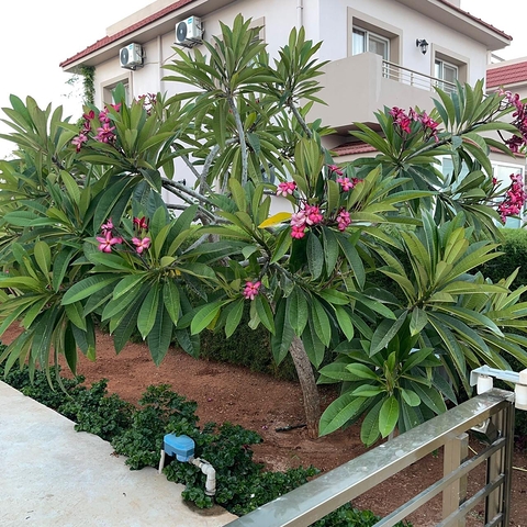 Long Beach Villa am Strand