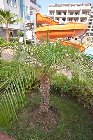 1+1 Wohnung im Hotelplankomplex in Kestel