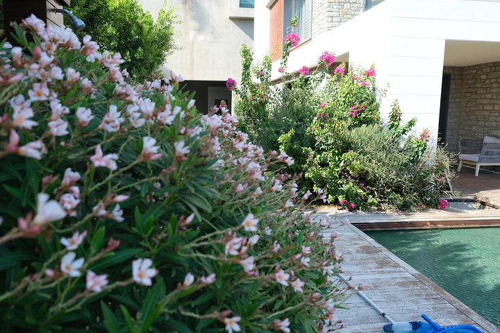 Das Projekt von Luxusvillen mit Blick auf die alte Festung und das Meer im Zentrum von Bodrum
