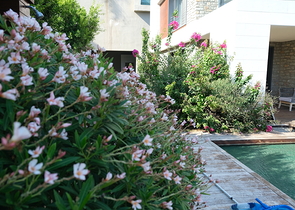 Das Projekt von Luxusvillen mit Blick auf die alte Festung und das Meer im Zentrum von Bodrum