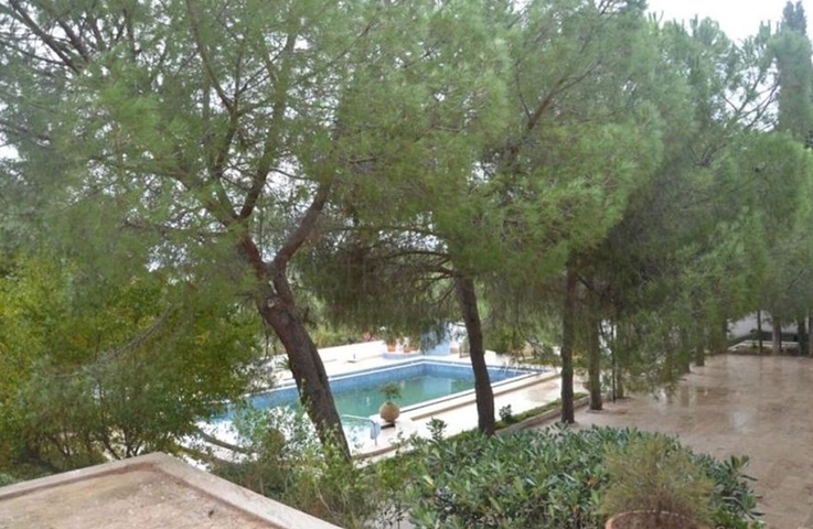 Villa mit 3+2 Grundrissen für eine große Familie