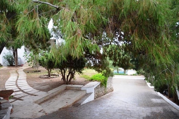 Villa mit 3+2 Grundrissen für eine große Familie