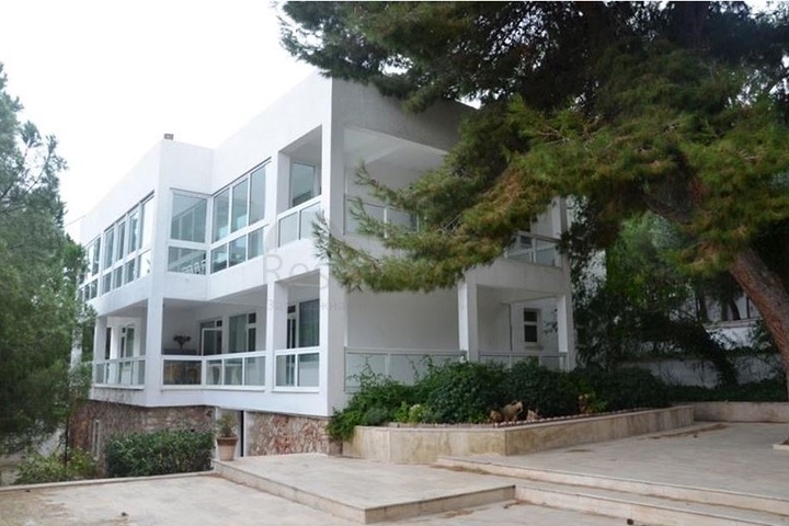 Villa mit 3+2 Grundrissen für eine große Familie