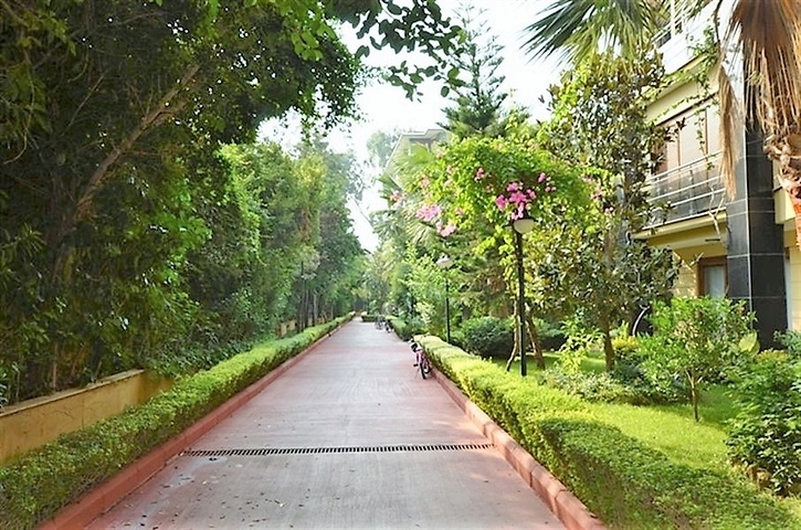 Wohnungen an der ersten Küste zu vermieten