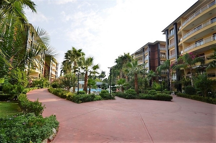 Wohnungen an der ersten Küste zu vermieten