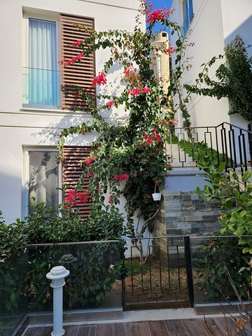 4+1 Penthouse in einem Komplex an der ersten Küste in der schönen Bucht von Küçükbük, Bodrum 4+1 Penthouse in einem Komplex an der ersten Küste in der schönen Bucht von Küçükbük, Bodrum