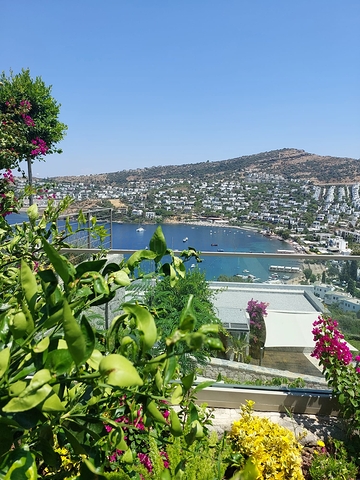 Paradiesische Villen in Bodrum mit Hoteldienstleistungen.
