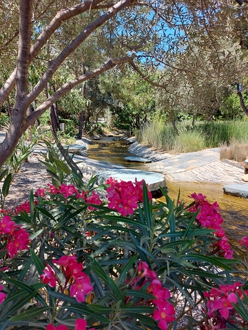 Eines der luxuriösesten und hochwertigsten Projekte von Bodrum!