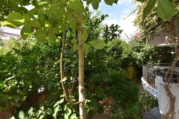 3+1 Wohnung mit separater Küche im Zentrum von Alanya