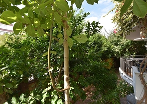 3+1 Wohnung mit separater Küche im Zentrum von Alanya