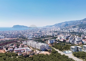 Neues Projekt im Bezirk Oba