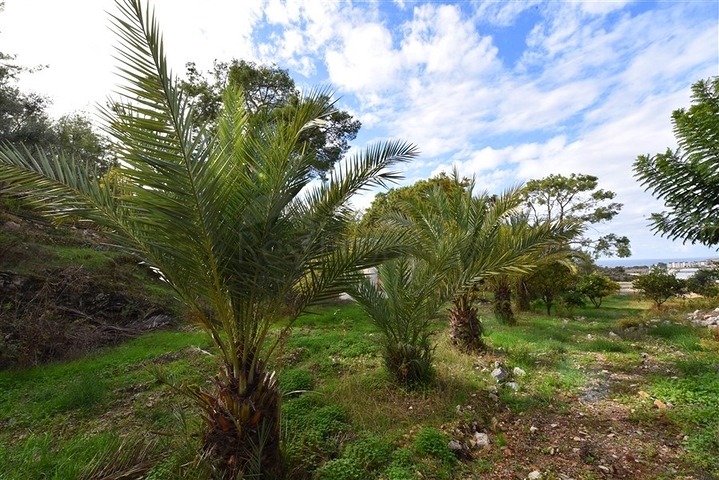 Schickes Haus mit eigenem Pool und Garten im Stadtteil Demirtas