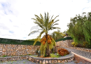 Schickes Haus mit eigenem Pool und Garten im Stadtteil Demirtas