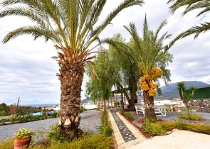 Schickes Haus mit eigenem Pool und Garten im Stadtteil Demirtas