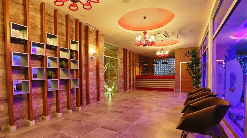 1+1 Wohnung in Avsallar