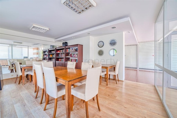 Geräumige 1+1 Wohnung in Dschikkilli