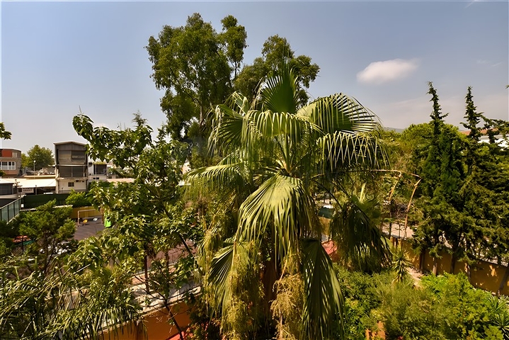 Möblierte 2+1-Wohnung in einem Komplex an der ersten Küste im Zentrum von Alanya