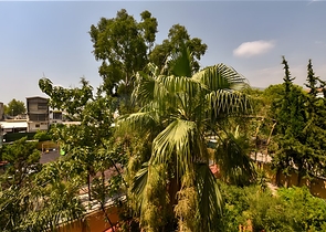 Möblierte 2+1-Wohnung in einem Komplex an der ersten Küste im Zentrum von Alanya