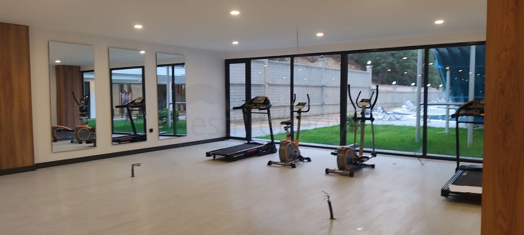 1+1 Wohnung mitten in einem Nadelwald