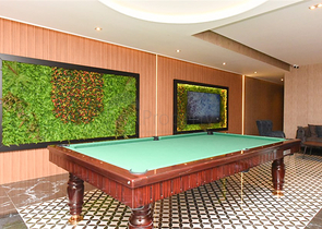 Zweizimmerwohnung mit Meerblick