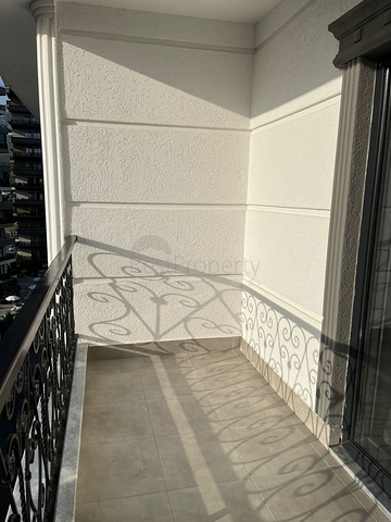 ID: 19905 ID: 19905